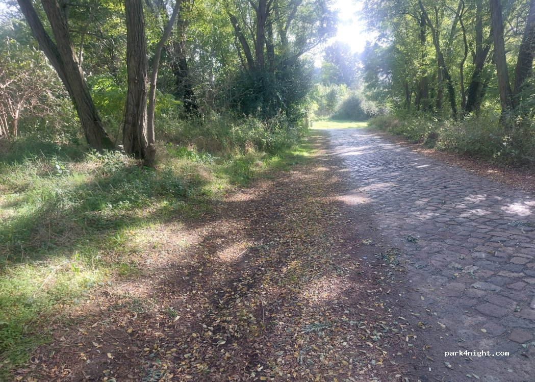 (15234) Frankfurt (Oder) - 7 Weidenweg — foto 2