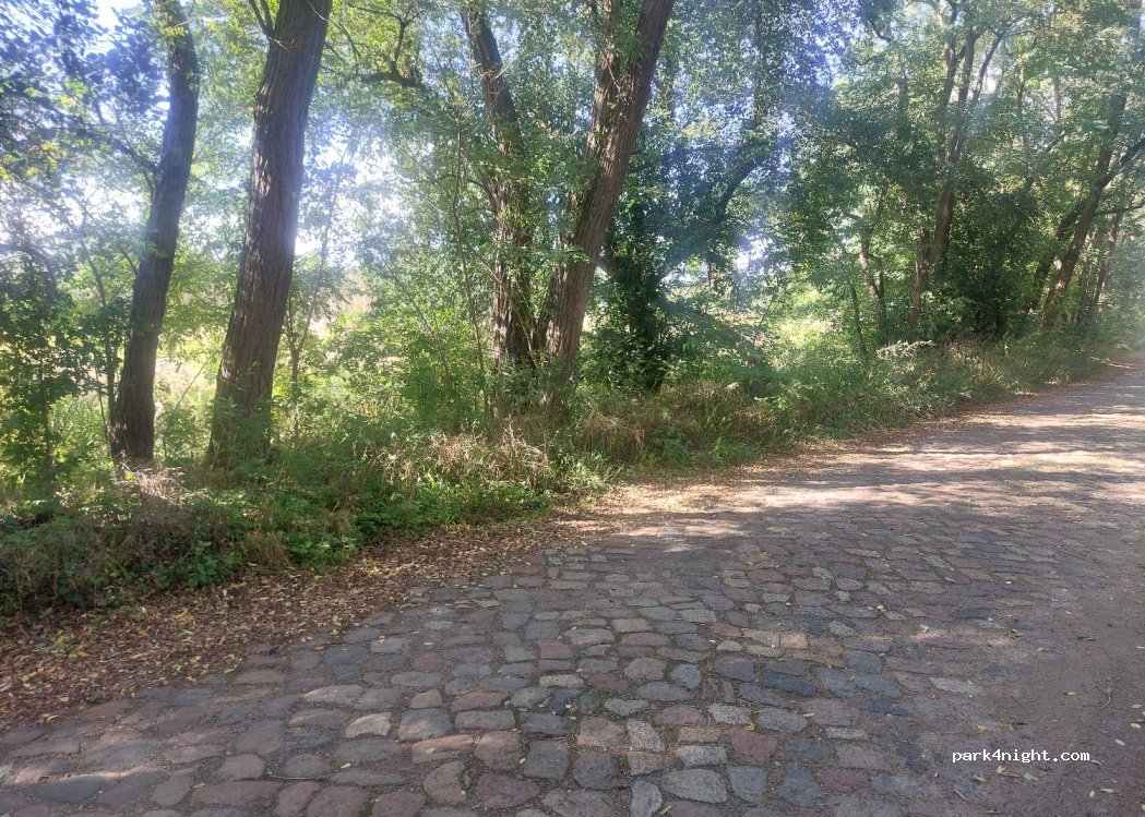 (15234) Frankfurt (Oder) - 7 Weidenweg — foto 3