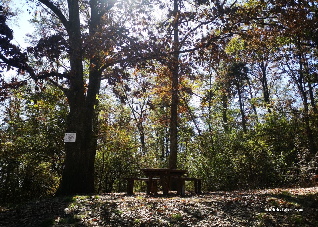 (11415) Koracica - Unnamed Road — foto 2