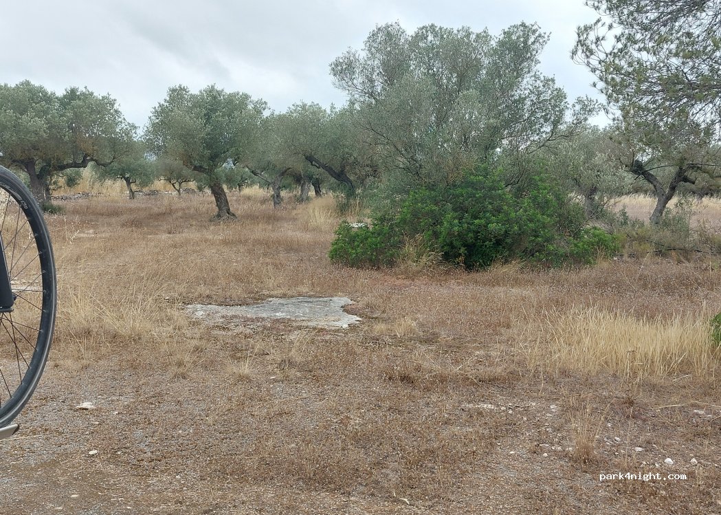 (43748) Ginestar - Unnamed road — foto 3