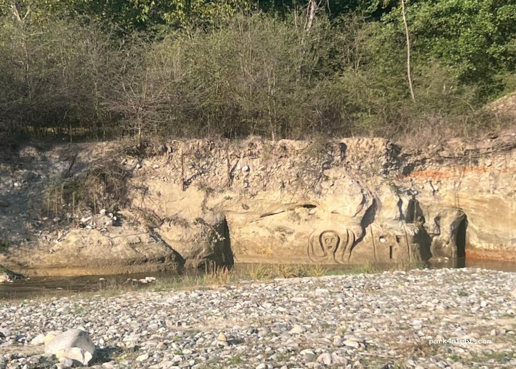 (117743) Bălteni - — foto 2