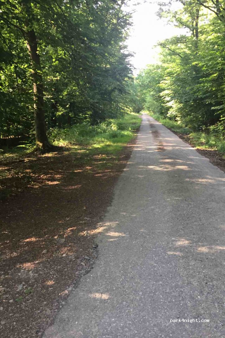(6950) Nassogne - Rue Château du Bois — foto 2