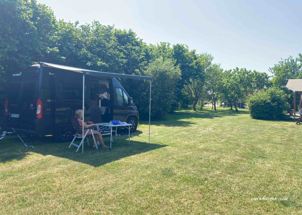 Beleefboerderij en camping de Stelle — foto 4