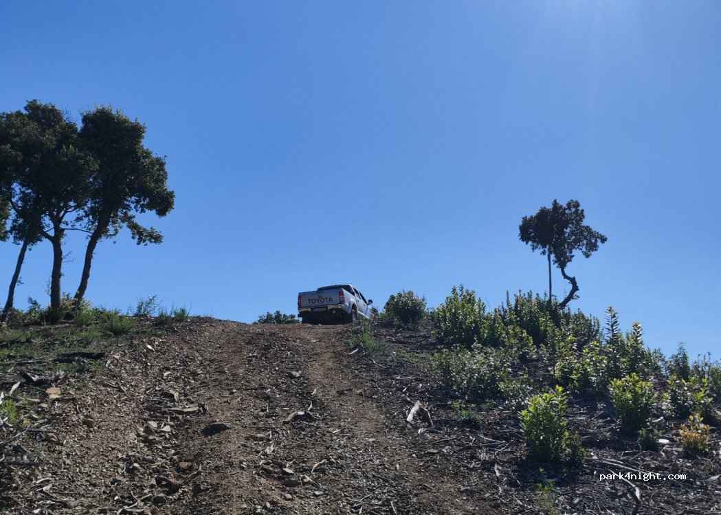 (58043) Castiglione della Pescaia - — foto