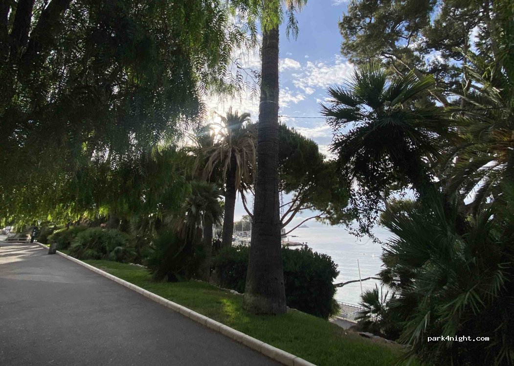 (06310) Beaulieu-sur-Mer - 6 Avenue Fernand Dunan — foto 4