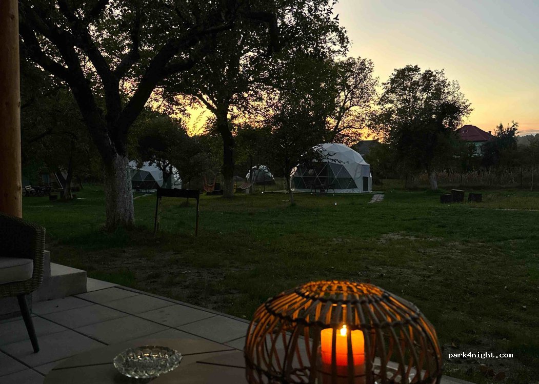 The Frog Glamping — foto