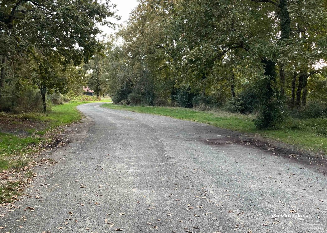 (40210) Labouheyre - — foto principale