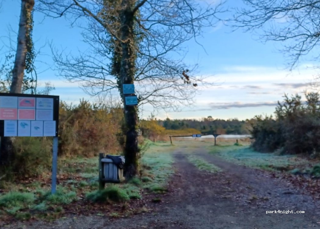 (40210) Labouheyre - — foto 2