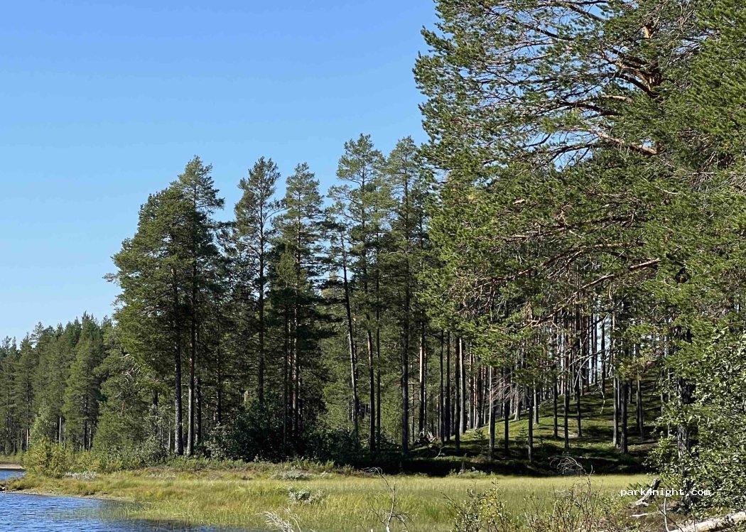(797 91) Särna - — foto 2