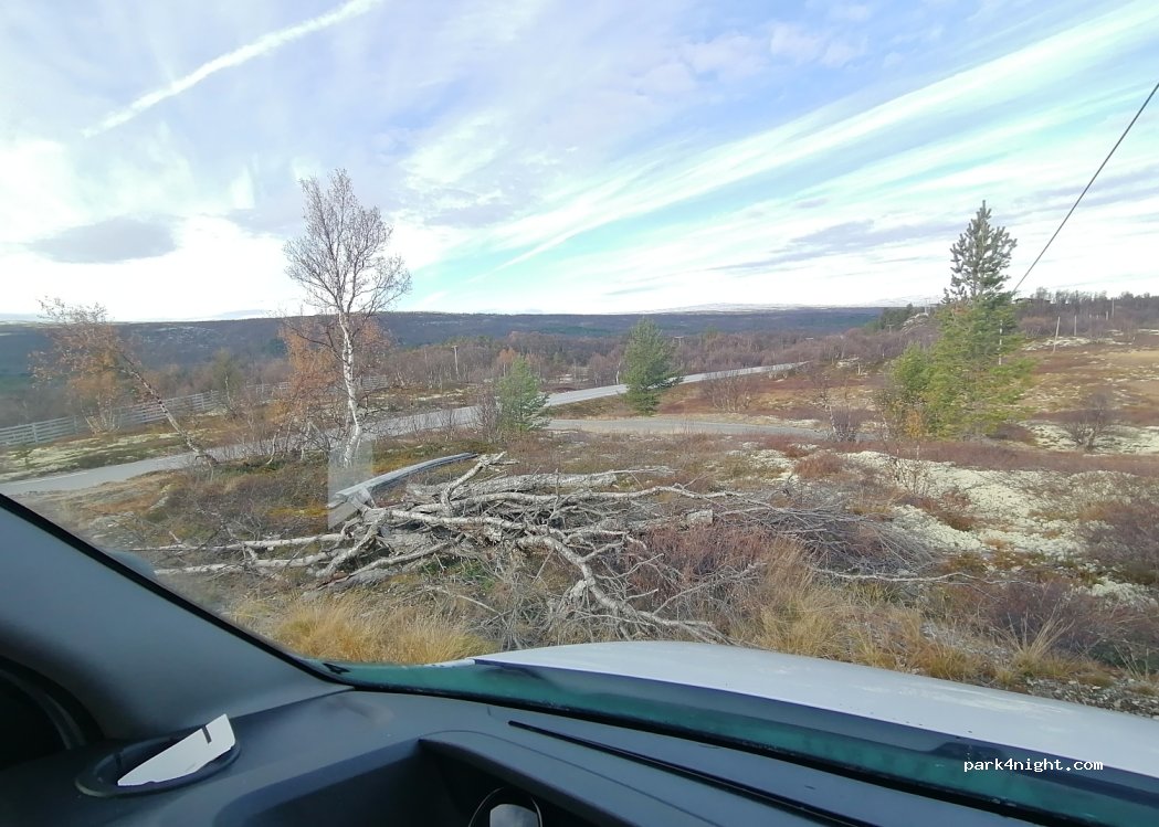 (2540) Tolga - 117 Primær Fylkesveg 26 — foto