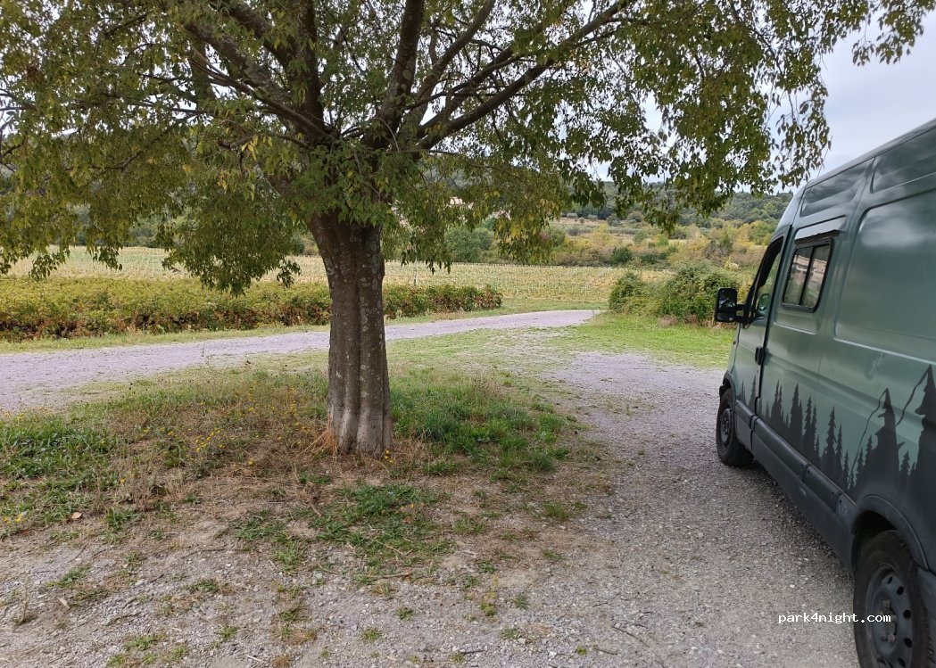 (30140) Tornac - 141 Pied Pâle — foto