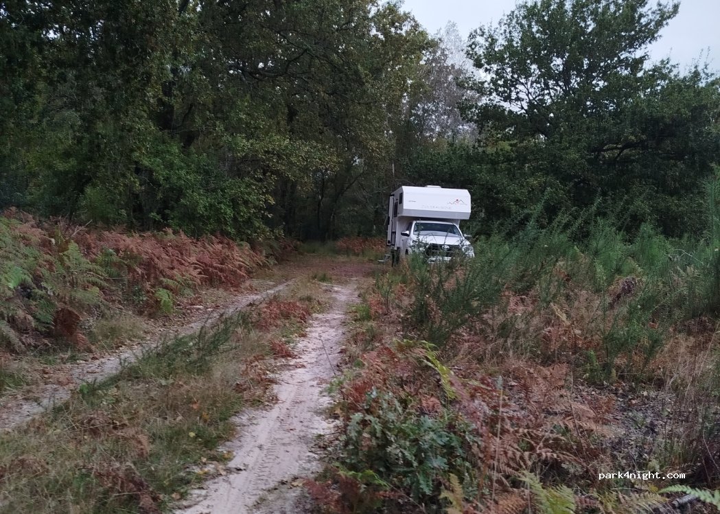 (40200) Saint-Paul-en-Born - Unnamed road — foto