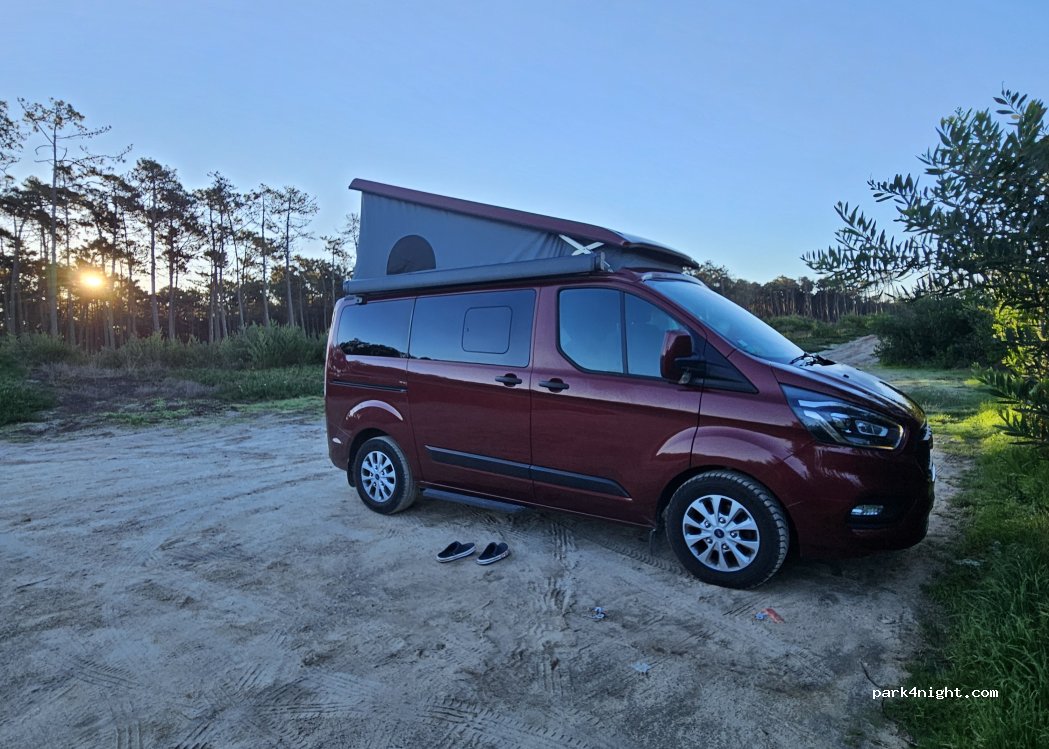(3885-718) Cortegaça - Rua da Praia Sul — foto 5