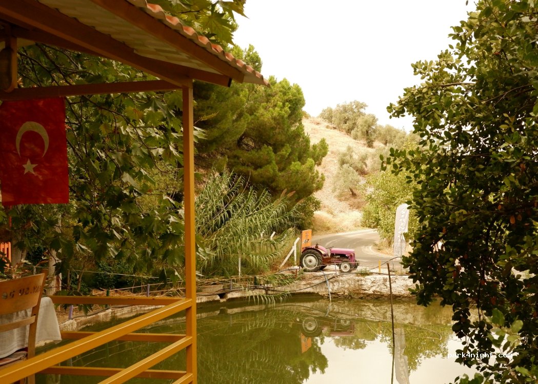 Şiringöl Restaurant, Karavan ve Çadır Kamp Alanı — foto 3