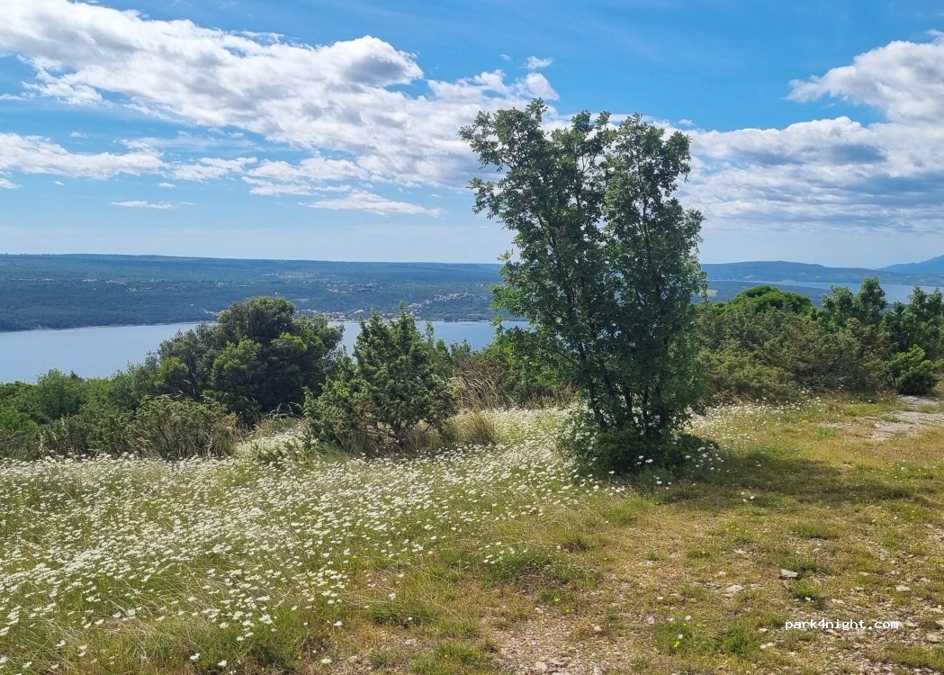 (23452) Gornji Karin - Unnamed Road — foto