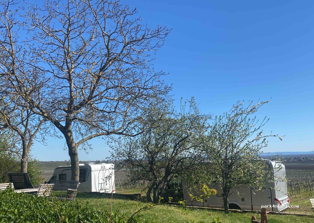 Weingut Gästehaus Hermann Eberle — foto 3