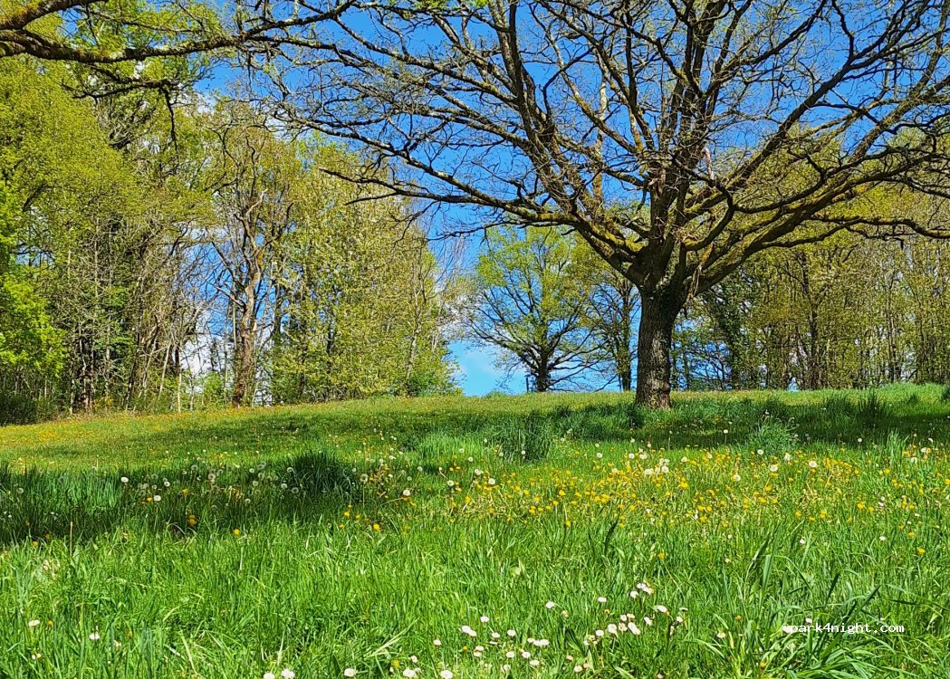 (87290) Saint-Sornin-Leulac - — foto 4