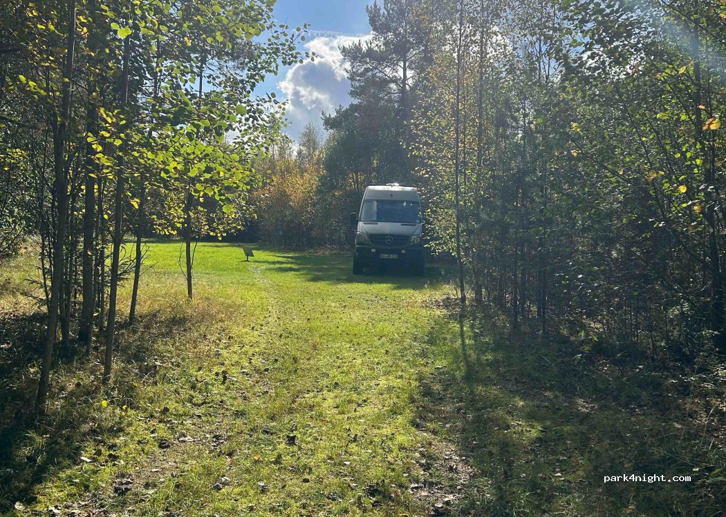 (683 91) Hagfors - 12 Knoände — foto