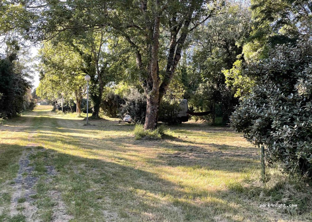 (17120) Chenac-Saint-Seurin-d'Uzet - Quai de l'Esturgeon — foto 5