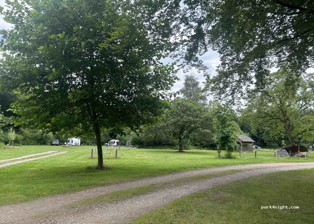Natuurkampeerterrein the Dasselaar — foto 2