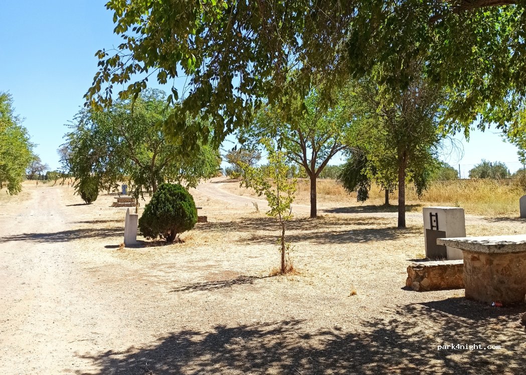 (06220) Villafranca de los Barros - N-630 — foto 4