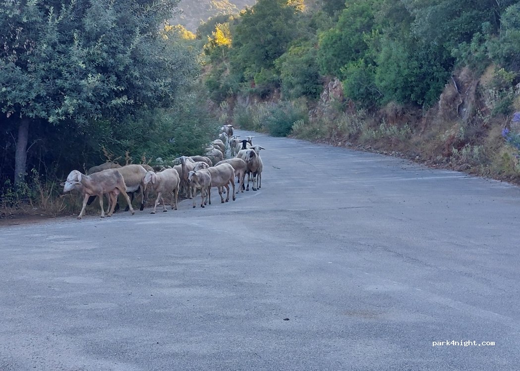 (461 00) Igoumenitsa - Unnamed Road — foto 4