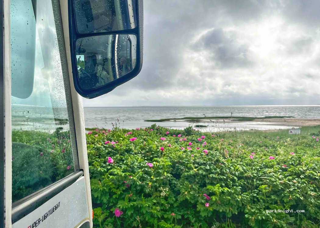 (6710) Esbjerg - 270 Sædding Strandvej — foto 2