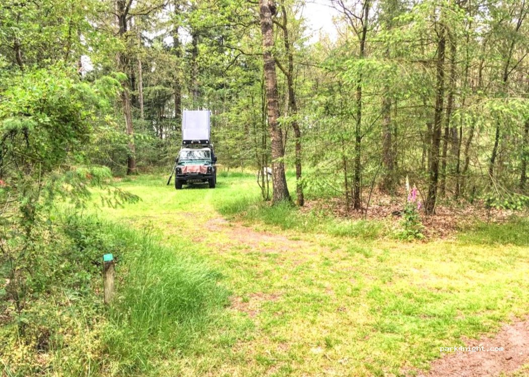 Natuurkampeerterrein De Dennen — foto