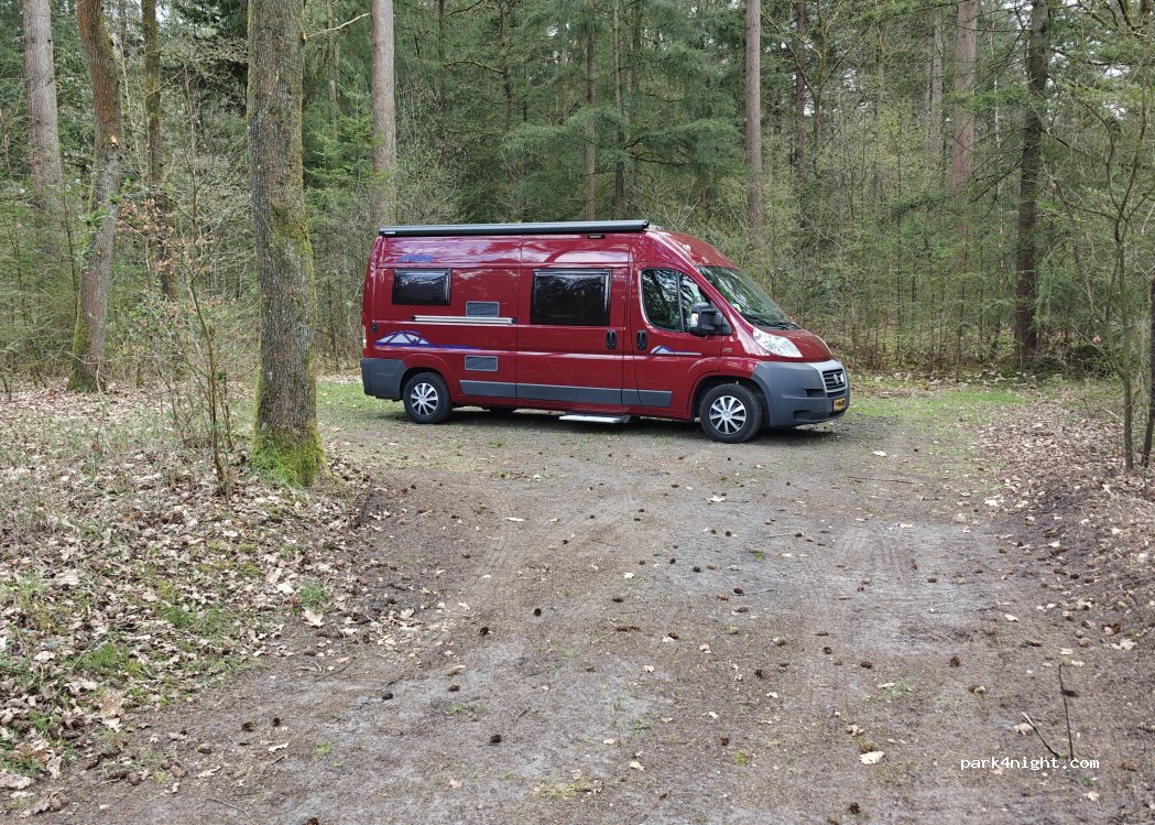 Natuurkampeerterrein De Dennen — foto 4