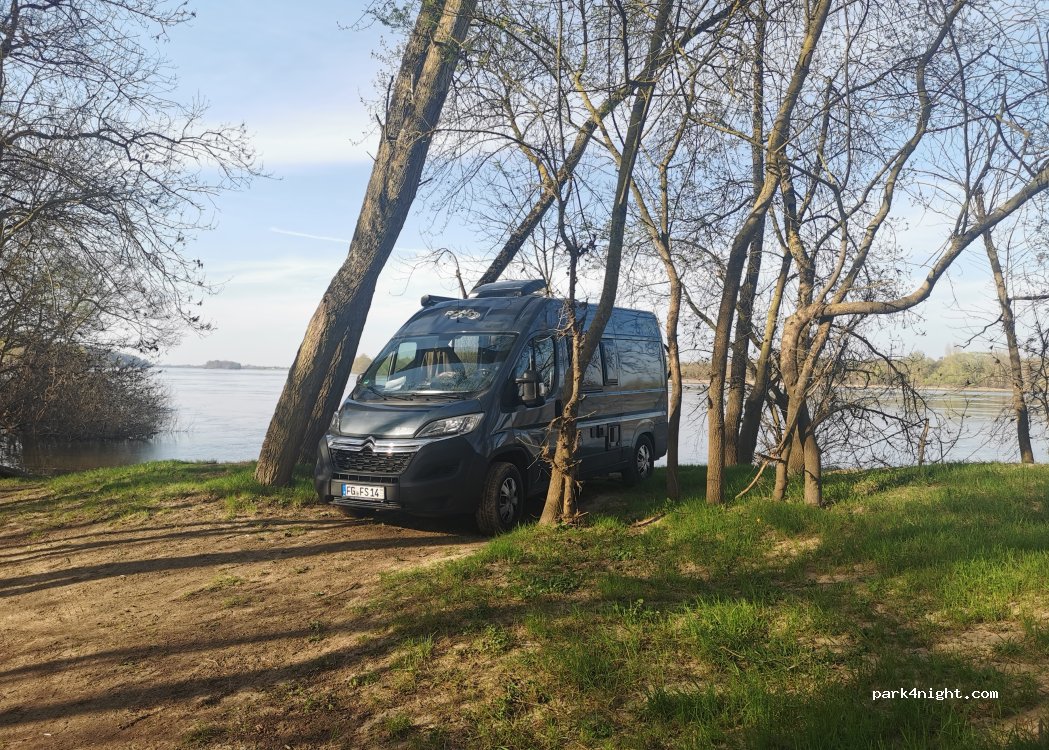 (49350) Gennes-Val-de-Loire - — foto
