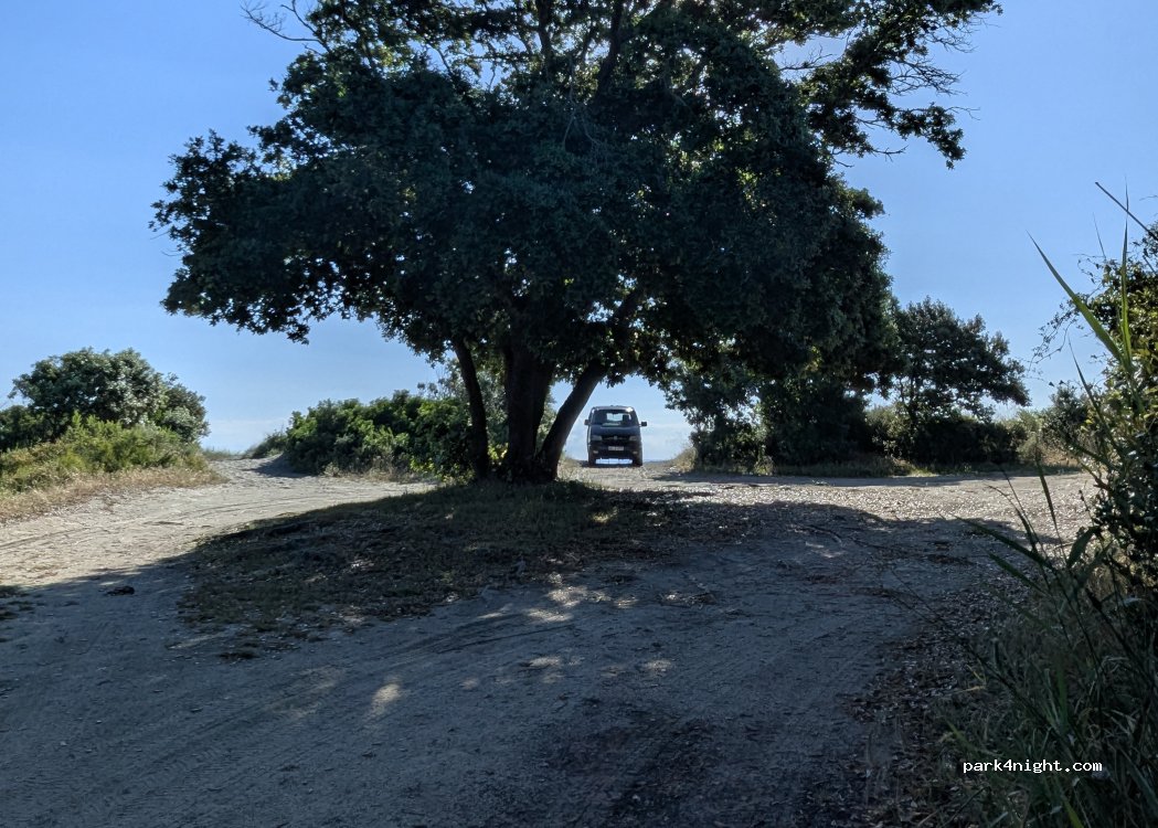 (20230) San-Giuliano - — foto 3