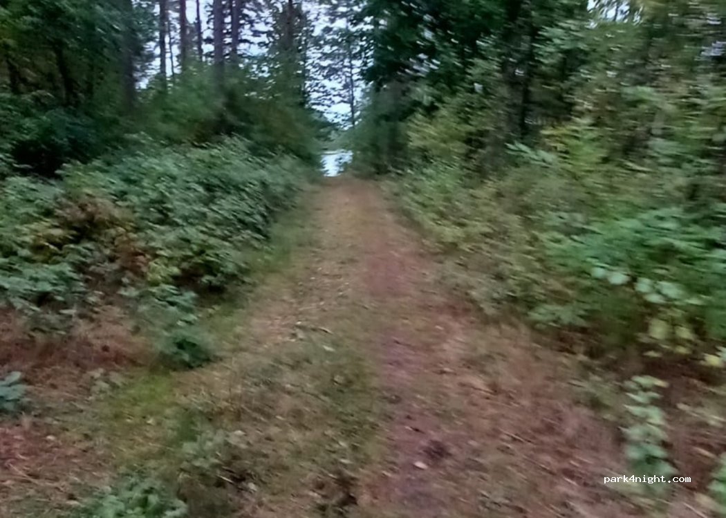 (12-200) Wiartel - — foto 2