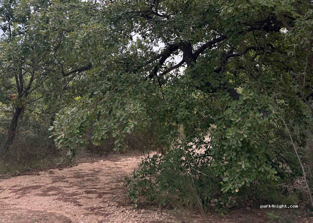 (13610) Le Puy-Sainte-Réparade - 770 Chemin de la Plaine des Arnajons — foto
