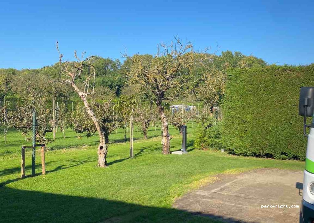 Boomgaardcamping DuinRand — foto