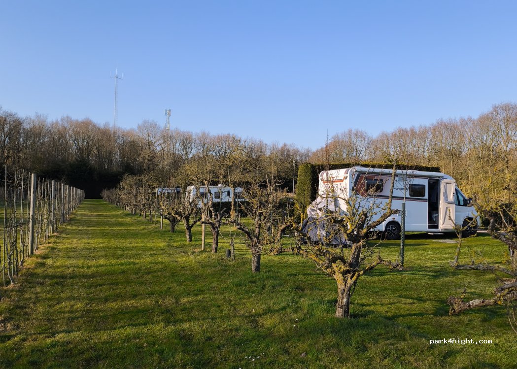 Boomgaardcamping DuinRand — foto 2