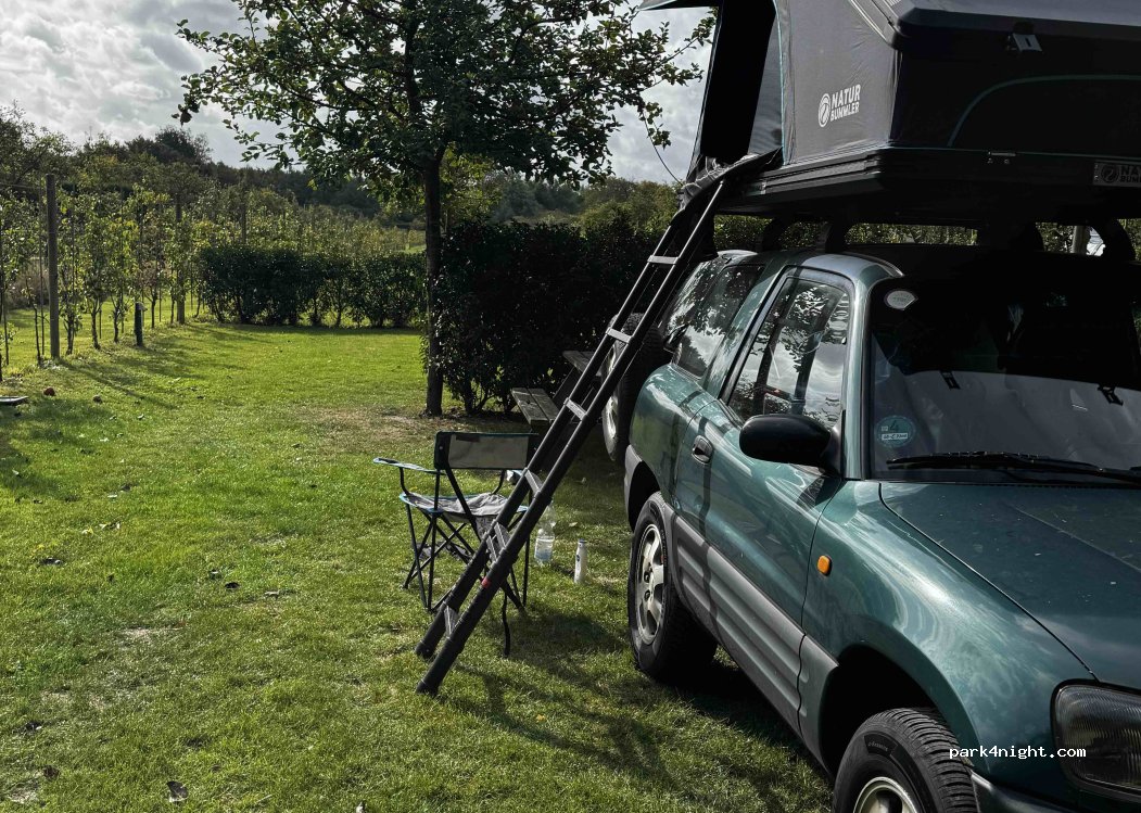 Boomgaardcamping DuinRand — foto 5