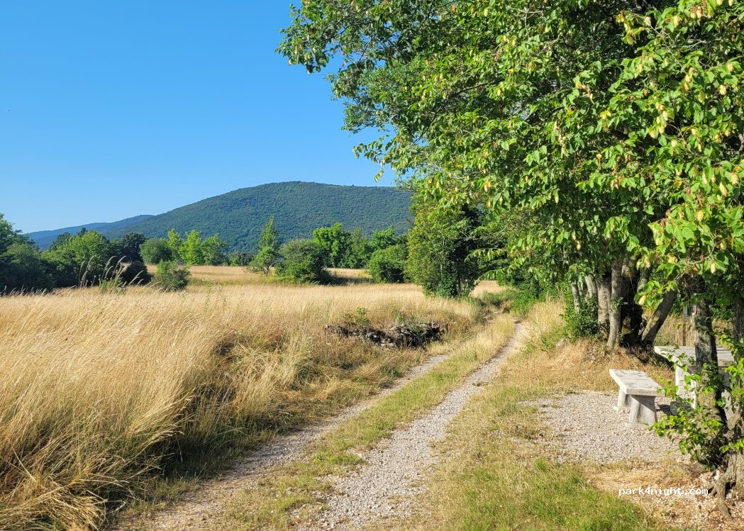 (6242) Rožice - 24 Rožice — foto 5
