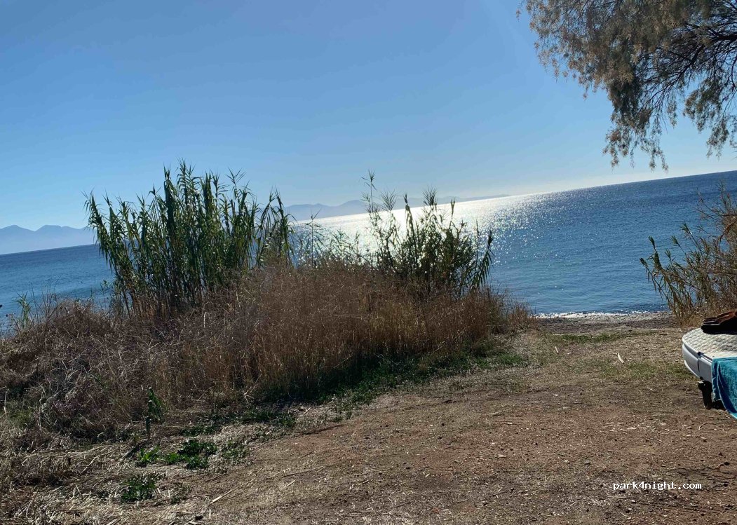 (240 04) Pilos Nestor - — foto 2