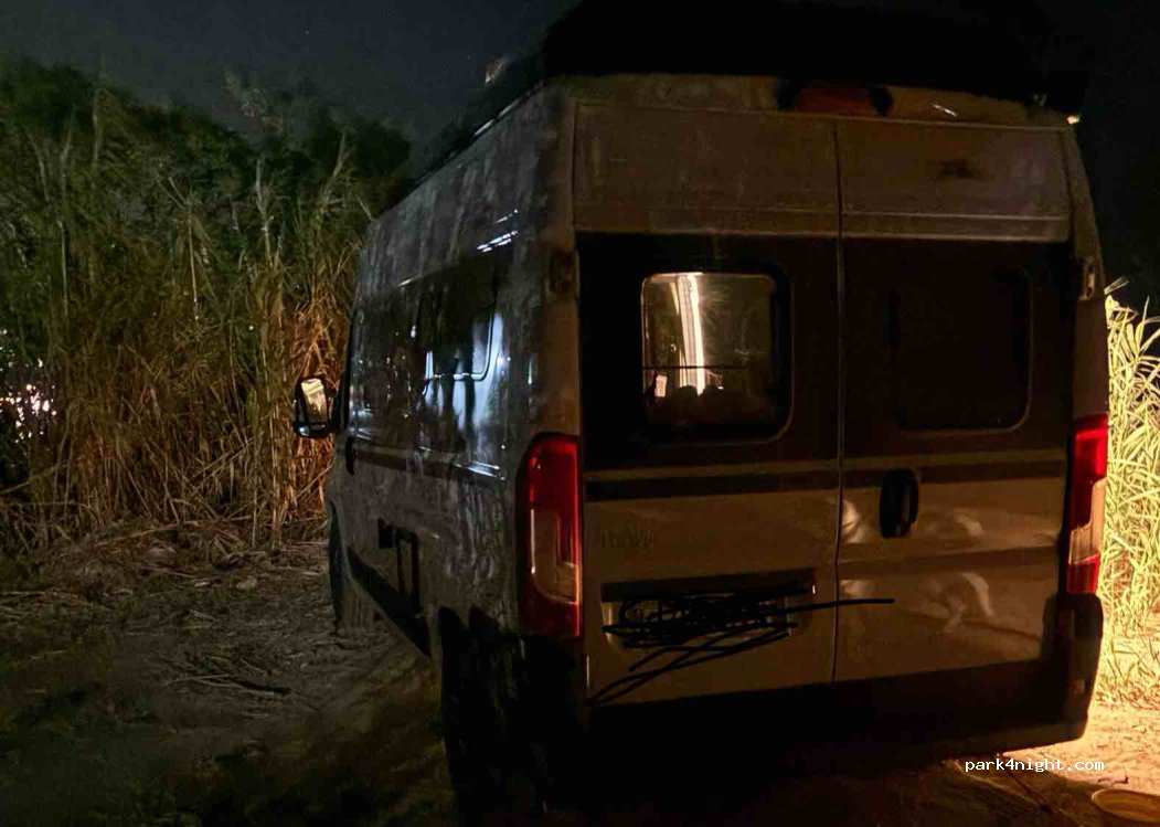 (240 04) Pilos Nestor - — foto 3