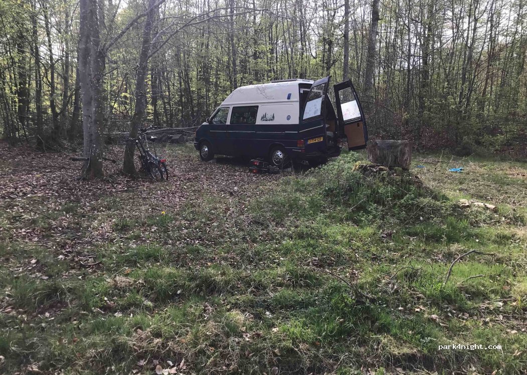 (54534) Karl - L46 — foto 2