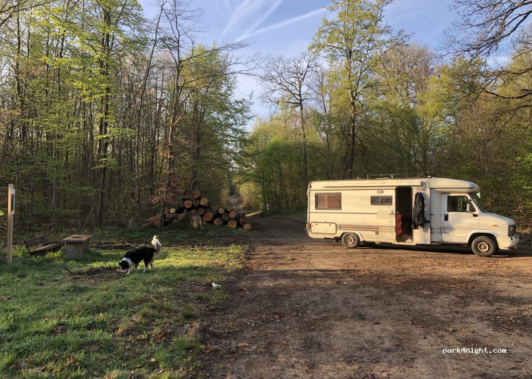 (54534) Karl - L46 — foto 3