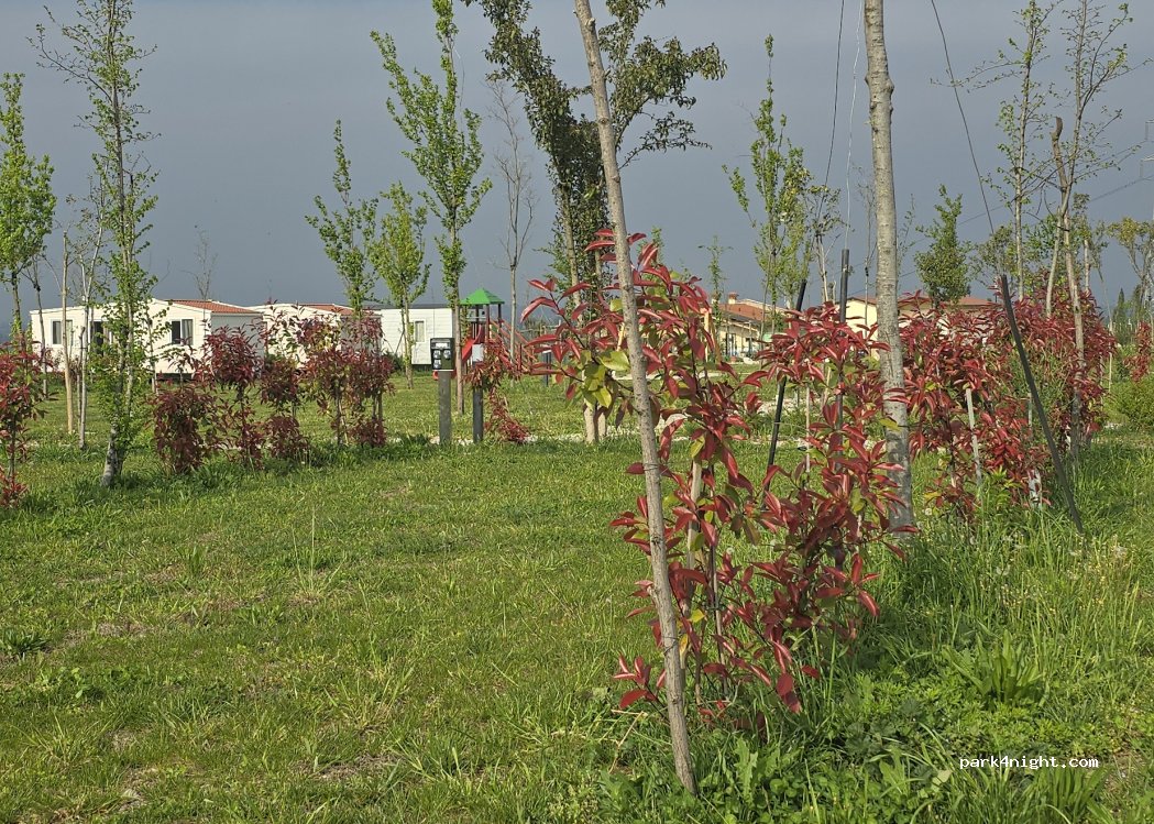 Al Cielo Stellato Agricamping — foto 2
