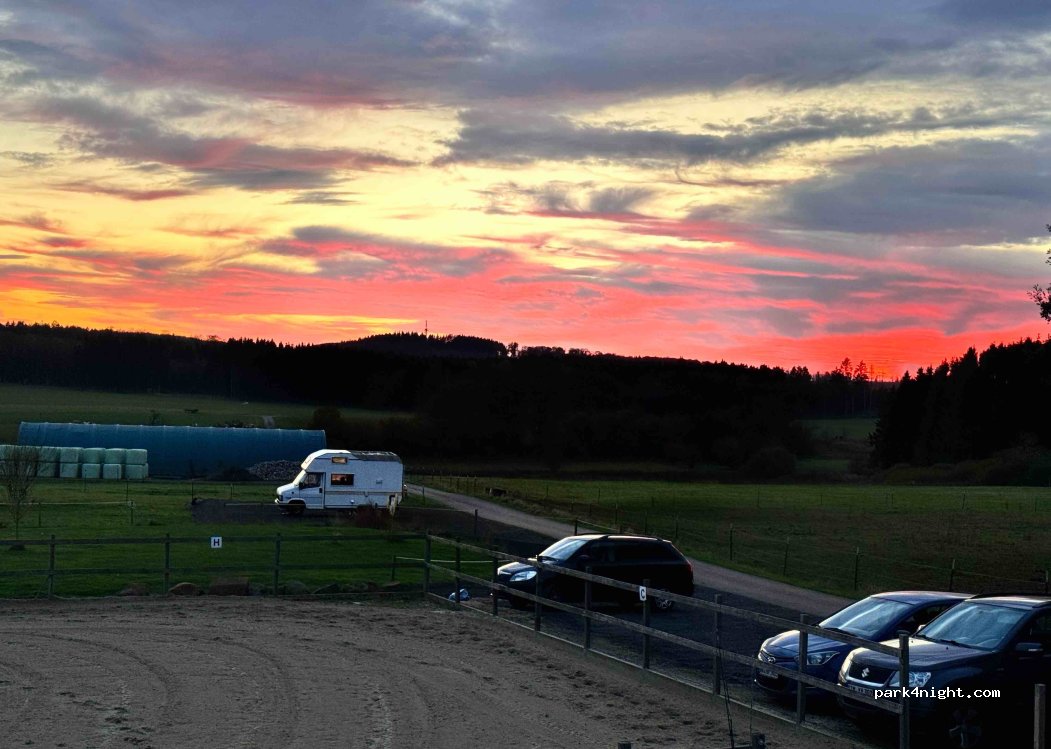 Islandpferde vom Elbbachtal | Inhalationskammer — foto
