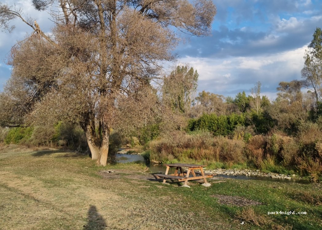 (29702) Sarıca - — foto 2