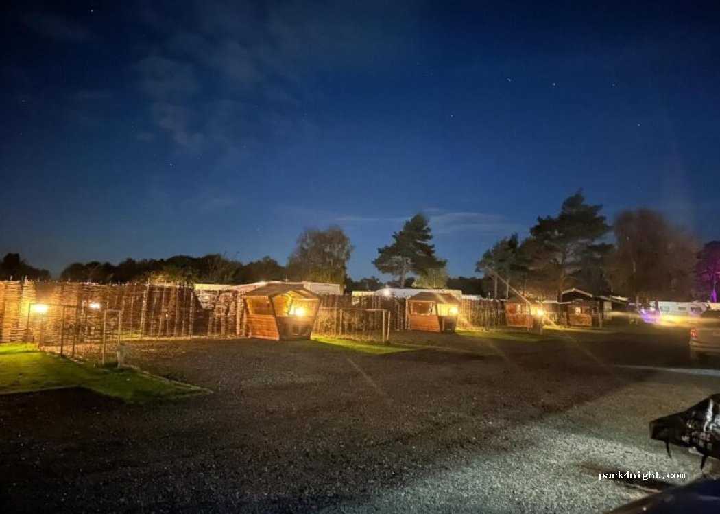 Pinecones Camping — foto 2