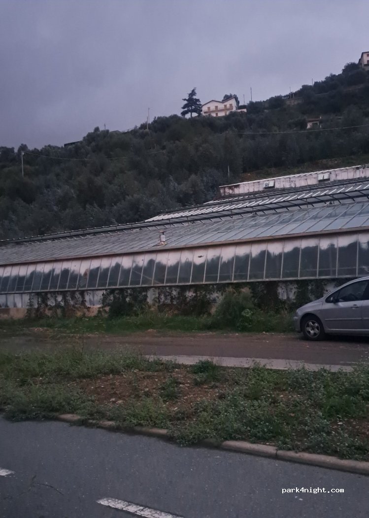 (18018) Taggia - Argine Sinistro — foto