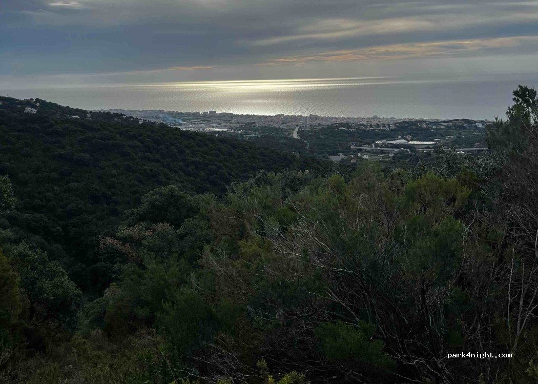 (08370) Calella - — foto