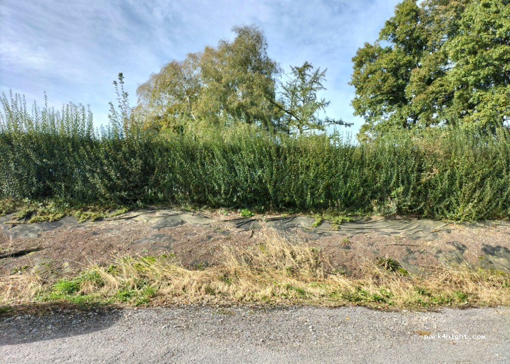 (84364) Bad Birnbach - 7 Alfons-Hundsrucker-Straße — foto 4