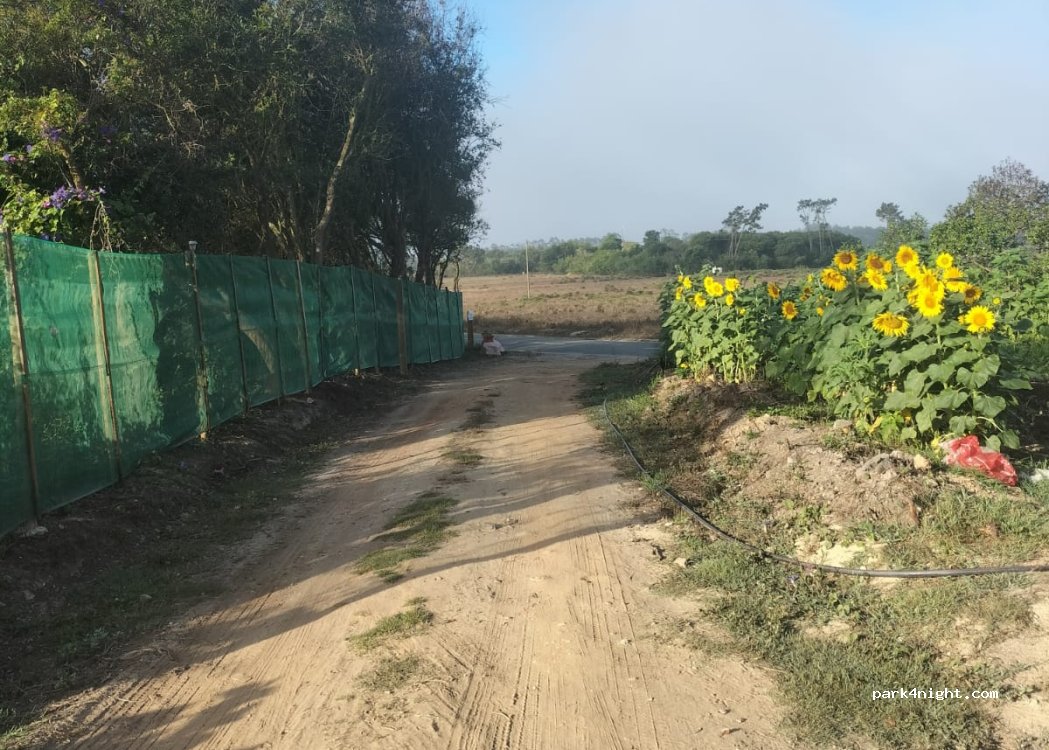 Quinta Vicentina — foto 4