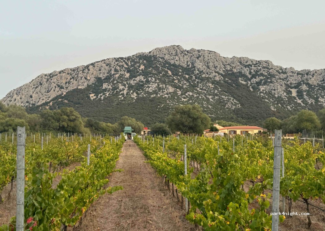 Cantina Alessandro Bocca — foto 2